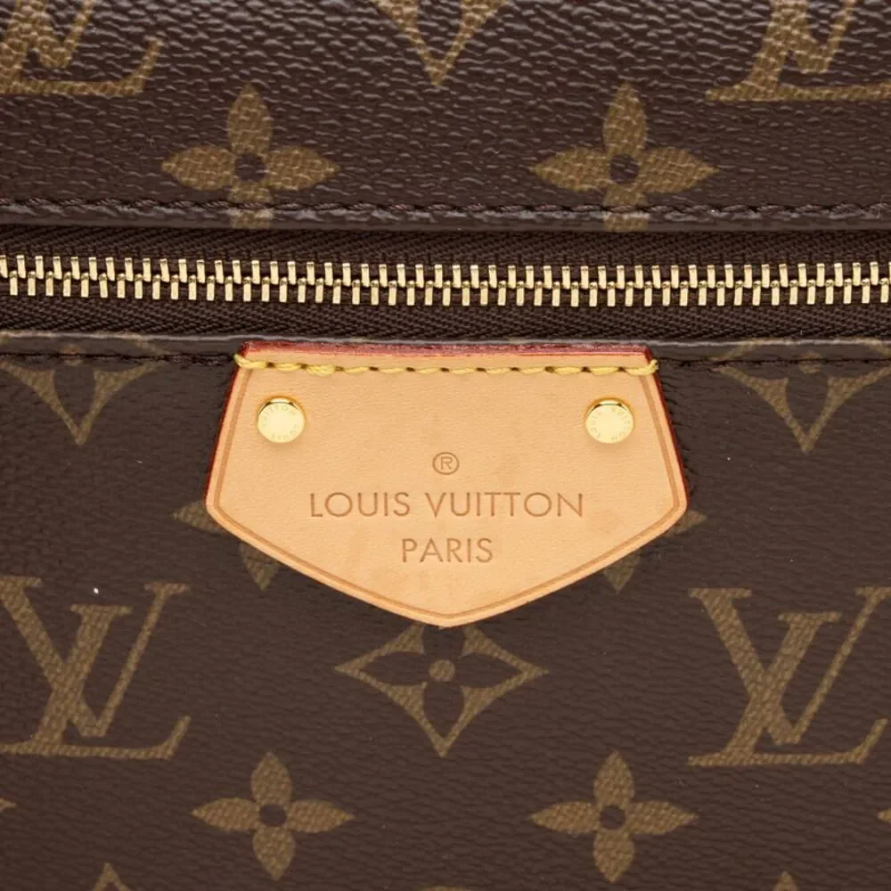 Louis Vuitton Monogram Canvas Iena MM Tote